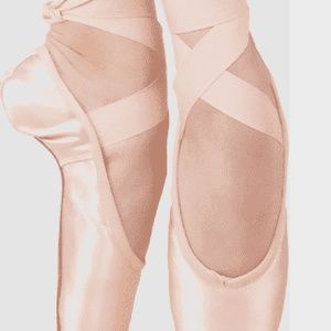 NEW GRISHKO Sz 6.5 Dream Pointe 2007 Pointe Shoes